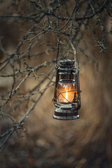 Photo of a kerosene lamp on the branches of a tree.
