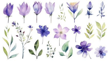 Fototapeta na wymiar Set of watercolor purple flowers leaves and twigs on a transparent background, png