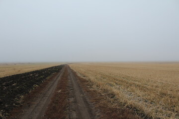 Field road leading into the foggy distance