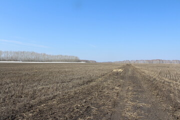 plowed field and sky