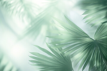 image of a blurry image of palm leaves, white and emerald