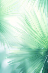 image of a blurry image of palm leaves, white and emerald