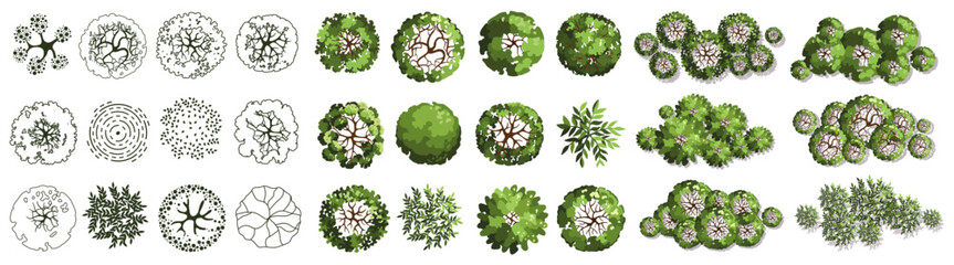 Tree for architectural floor plans. Entourage design. Various trees, bushes, and shrubs, top view for the landscape design plan. Vector illustration.