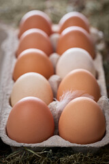 10 Eier im Eierkarton