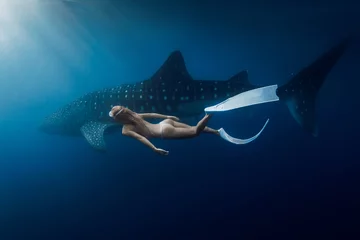 Rolgordijnen Underwater view of female freediver swimming with giant whale shark © artifirsov