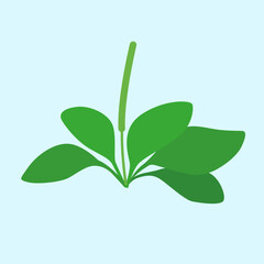 Green leaves icon isolated on blue background. Flat design. Vector illustration