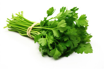 Fresh bunch of parsley on white background