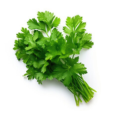 Fresh bunch of parsley on white background