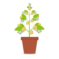 Money Tree Plant with Golden Coins and Dollar Banknote. Business Profit Growing with Passive Income. Growing Money, Saving and Investment Concept. 