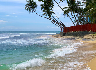 Naklejka premium View of a beautiful sandy beach with palm trees, Indian Ocean coast in Sri Lanka, Unawatuna