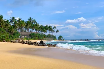 Foto op Plexiglas View of a beautiful sandy beach with palm trees, Indian Ocean coast in Sri Lanka, Unawatuna © Olena