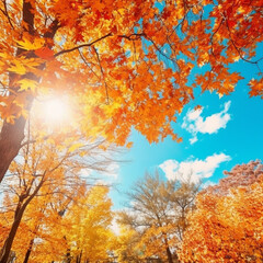 Naklejka na ściany i meble beautiful autumn leaves trees and background HD 8K wallpaper Stock Photographic Image