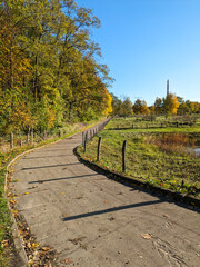 Autumn landscape in the Herzberge landscape park, Berlin - Germany
