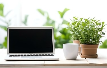 laptop, coffee cup and plant on white wooden table, office work concept