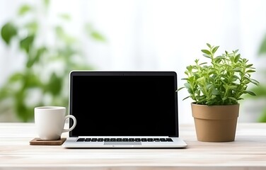 laptop, coffee cup and plant on white wooden table, office work concept