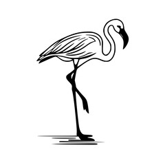 vector illustration of a flamingo