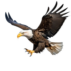 Obraz premium american bald eagle in flight on transparent background,png
