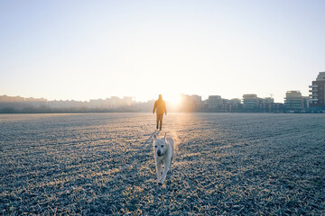 Man during morning walk with happy dog. Pet owner and his labrador retriver on field against city...