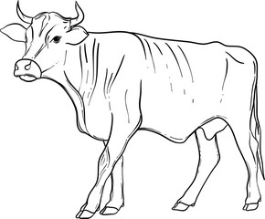 Hand Drawn Cow Illustration Isolated Vector