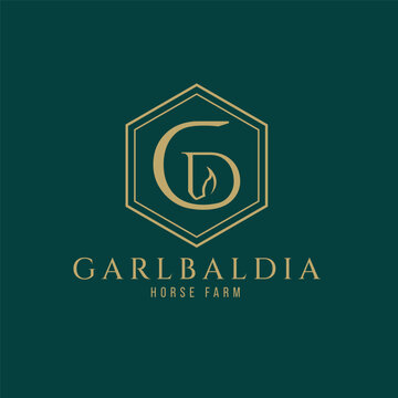Elegant luxury letter G monogram horse logo, letter G horse logo, horse head logo