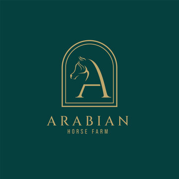 Letter A monogram arabian horse logo, letter a monogram horse logo, arabian horse logo