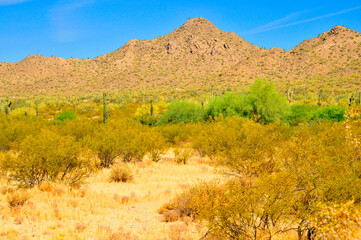 San Tan Mountains Sonora Desert Arizona