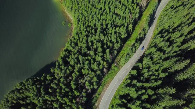 Aerial drone view following a car driving on a mountainous road, that crosses through a green coniferous forest. Vidra lake's waves are washing the green shores. Carpathia, Romania.