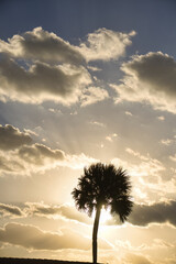 Sunrise at Sea Ranch Beach in Indialantic Florida on 11-02-2023