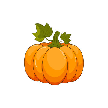 Autumn orange pumpkin with green leaf isolated on white background.Vector illustration