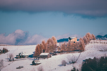 Ancient romanian houses on the frozen hills in the middle of winter. Wonderful landscape in the cold season with rustic buildings at the foot of the high mountains