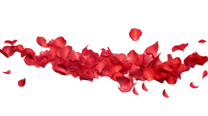 a falling or flying red rose flower petals isolated on a transparent background, Valentine's Backdrop