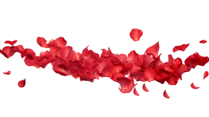 Fototapeten a falling or flying red rose flower petals isolated on a transparent background, Valentine's Backdrop © graphicbeezstock
