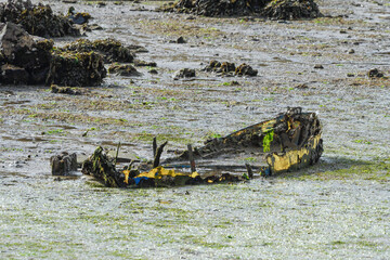 Remains of a boat sunk in the mud of the marsh
