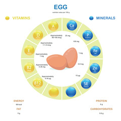 Infographics about nutrients in Egg