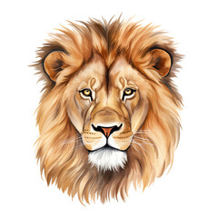 Hand Drawn Watercolor Lion Head Clip Art Illustration. Isolated elements on a white background.