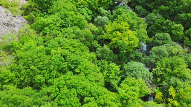 Aerial view of source of the Zrmanja River, Croatia