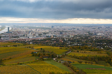 Naklejka premium Panoramic view from a vineyard hill over the Danube River in Vienna, Austria. Vienna, Austria, Europe, Donau Island, Danube River
