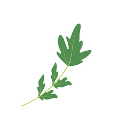 Lovage, levisticum officinale. Cuisine and medicinal herbs. Hand drawn plant vector. Playful design style, salad ingredients. Cute culinary herb icons. Isolated spice object.