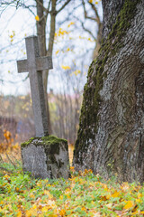 old crooked abandoned moss covered granite christian cross near big old tree