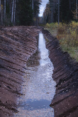 freshly dig drainage ditch with water in Latvia forest