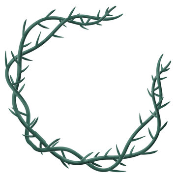 frame green thorn bush plant illustration isolated white 