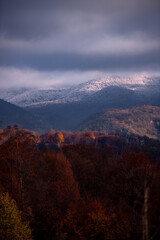 Gorgeous scenery with a wild forest full of colors in the autumn season. The border between two seasons, autumn and winter, observed on the high hills on a sunny day