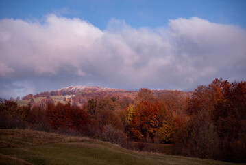 Fototapeta premium Gorgeous scenery with a wild forest full of colors in the autumn season. The border between two seasons, autumn and winter, observed on the high hills on a sunny day