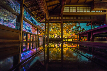 京都 夜の瑠璃光院を照らす幻想的な紅葉のライトアップ