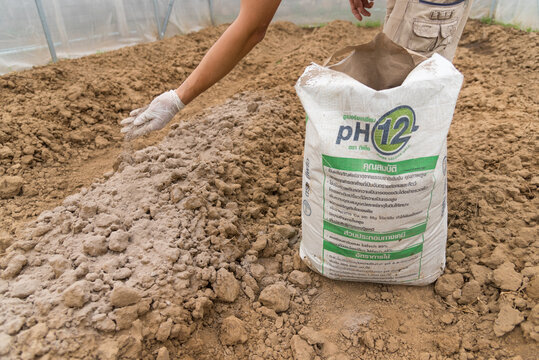 Rachaburi, Thailand - 29 Oct,2023:  Bag of TPI Super Calcium in Brand pH12 Premium grade in Examination for Improve the soil before plant