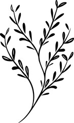 Naklejka premium Rosemary sprigs 