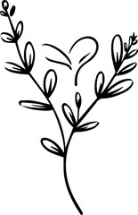 Rosemary stem, a popular image for tattoos