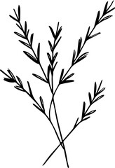 pattern with branches