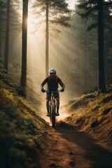 A male cyclist wearing a helmet rides a bicycle in a forest with tall pines in the rays of the sun. Sports, active healthy lifestyle, travel concepts - obrazy, fototapety, plakaty