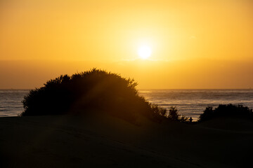 Fototapeta na wymiar Sunrise over the sand dunes with sea